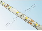 LED лента 3528/60 герметичная (IP65) standart